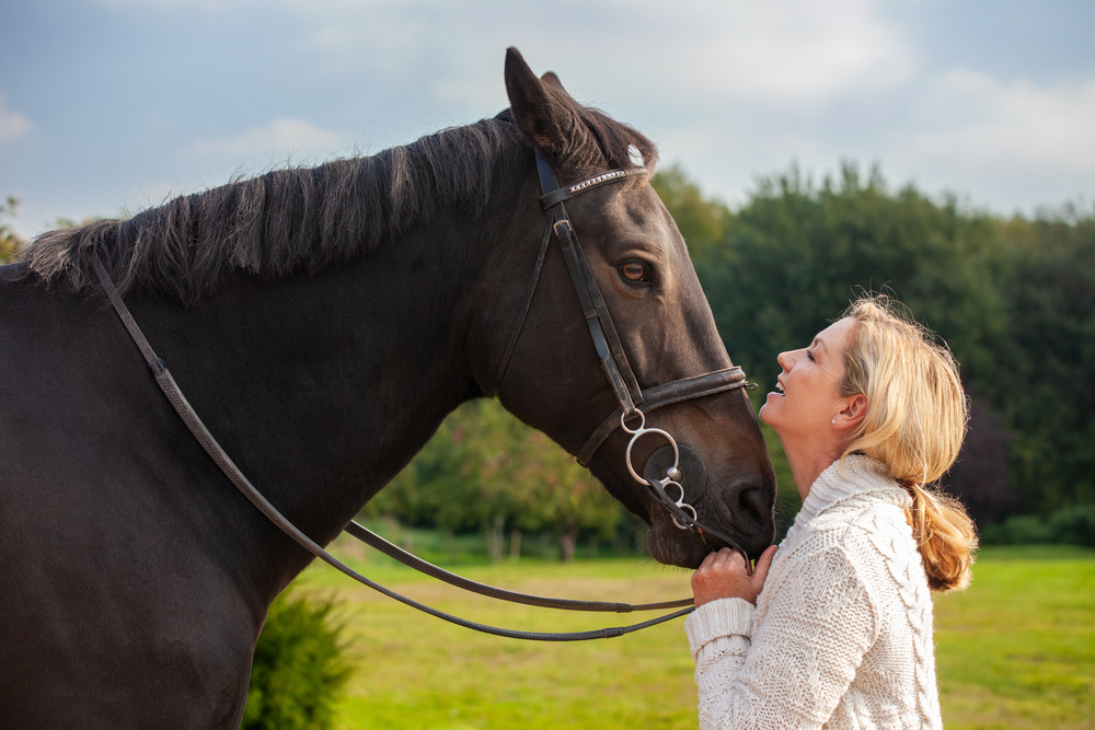 Equine therapy treats depression and anxiety disorder