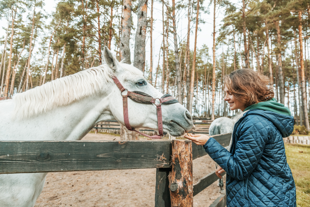 a woman engaging in equine therapy for PTSD in Florida