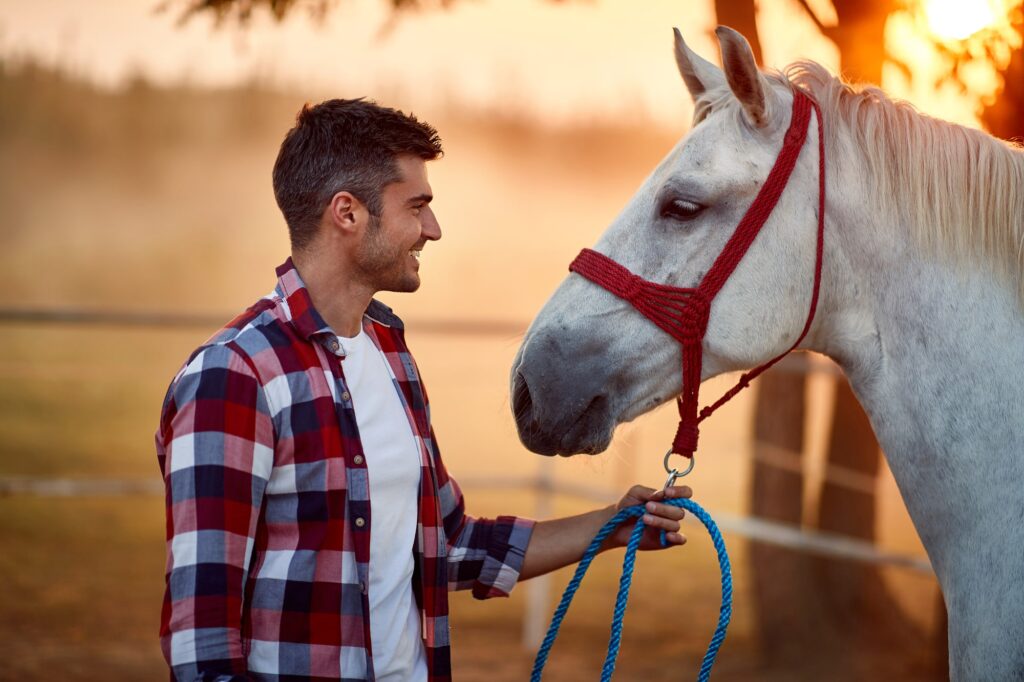 equine assisted therapy programs offered by TMF in Morristown, Florida-min