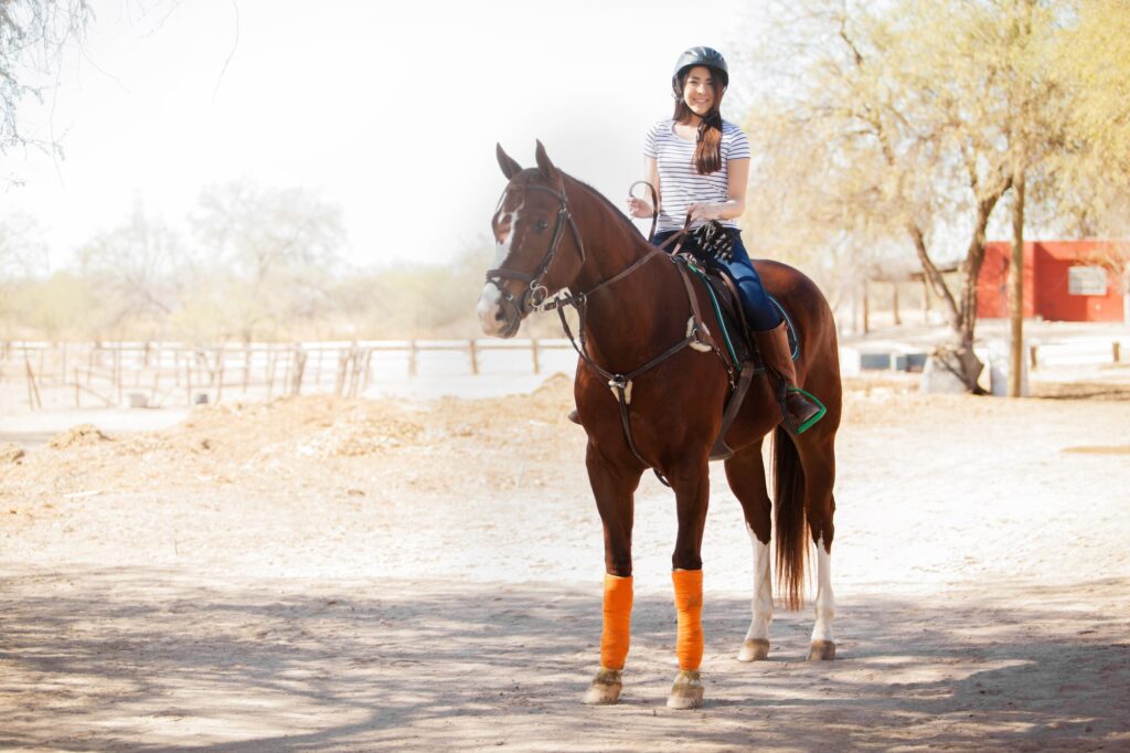 equine-assisted therapy, fostering trust and emotional growth as part of TMF's dual diagnosis treatment