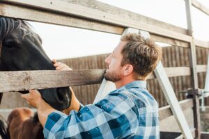 Combat veterans working with horses and an equine specialist to address traumatic brain injury and mental health disorders during a horse therapy session